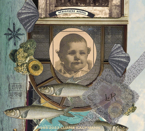 Neptune's Nursery